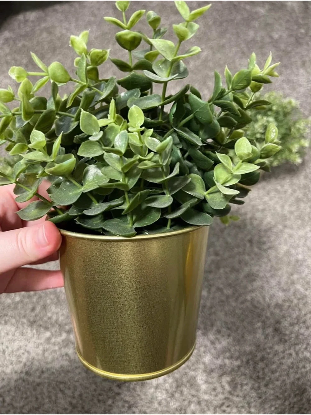 IKEA Plants and Gold Planters
